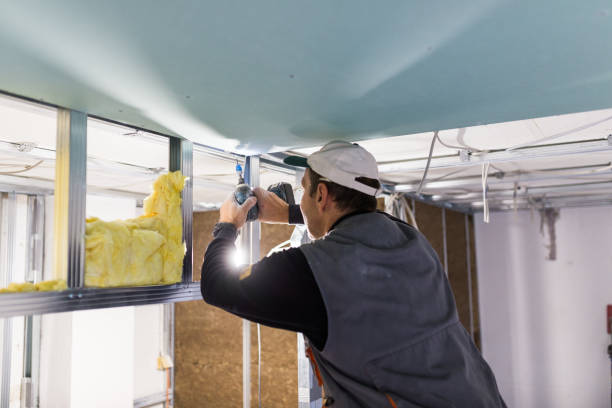 Best Professional Insulation Contractor  in Apalachin, NY