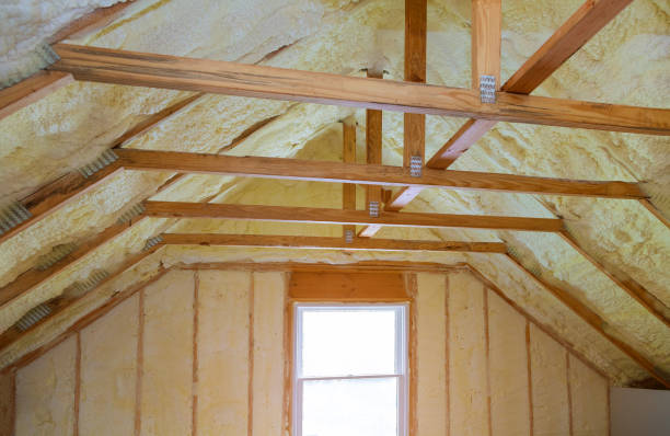 Best Insulation Repair Services  in Apalachin, NY