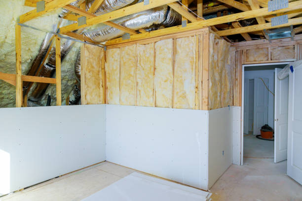 Best Home Insulation Services  in Apalachin, NY