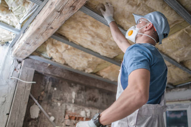 Best Energy-efficient Insulation  in Apalachin, NY