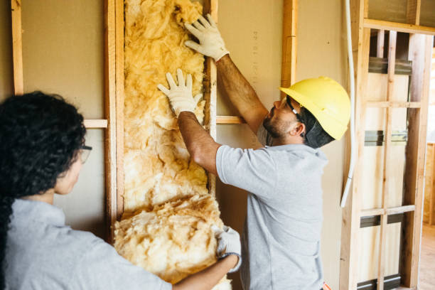 Best Attic Insulation Installation  in Apalachin, NY