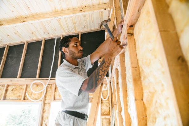 Best Attic Insulation Near Me  in Apalachin, NY