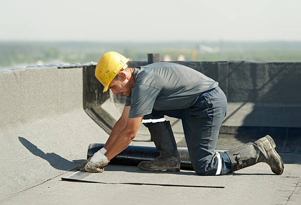 Best Best Insulation Companies  in Apalachin, NY