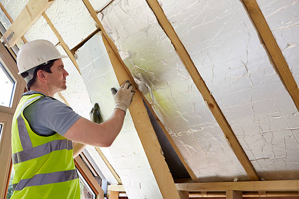 Best Affordable Insulation Services  in Apalachin, NY