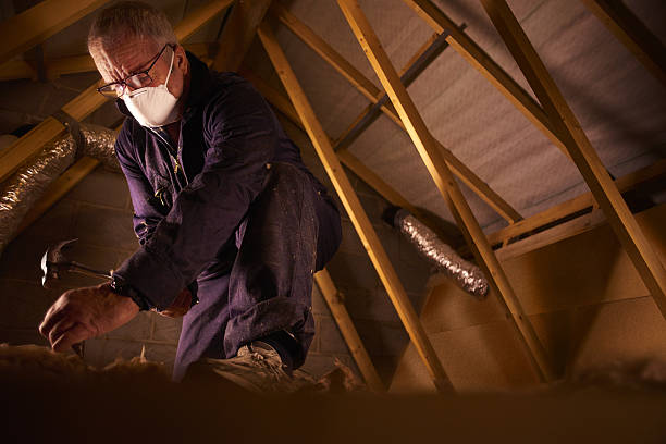 Best Spray Foam Insulation  in Apalachin, NY
